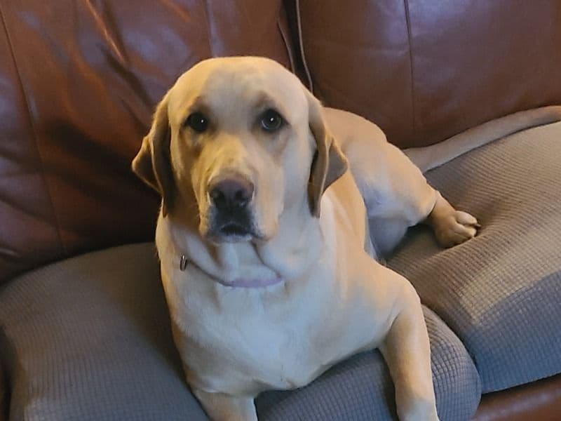 Winnie primary photo
