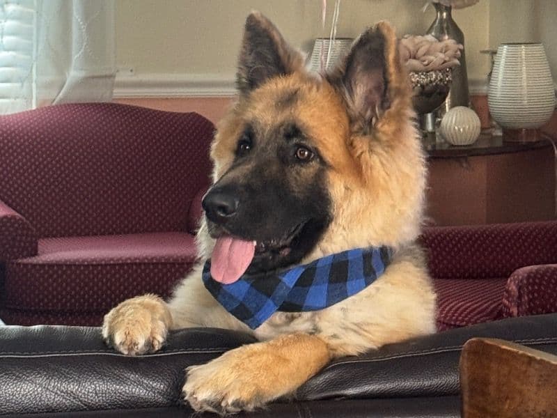 Max primary photo