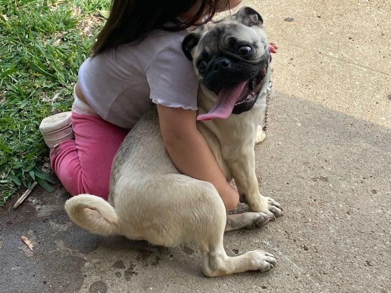 Nala primary photo