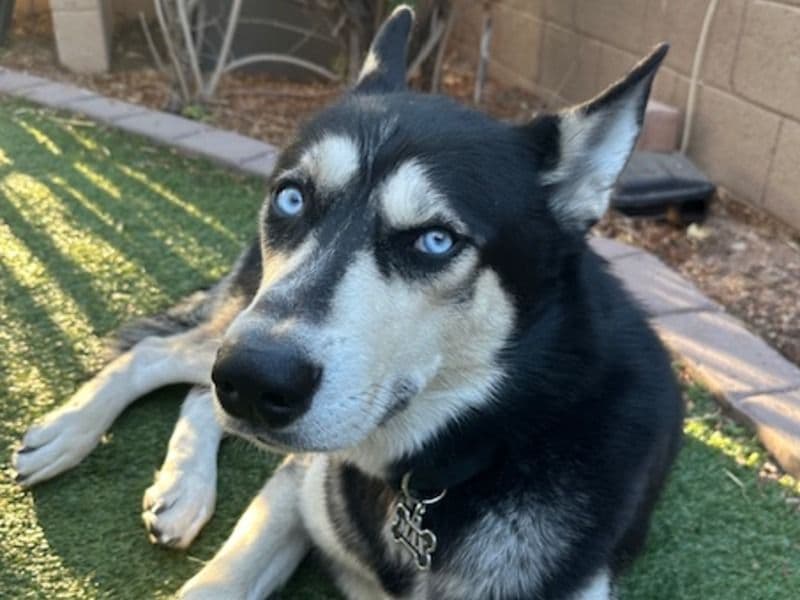 Max primary photo