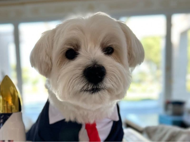 Charlie primary photo