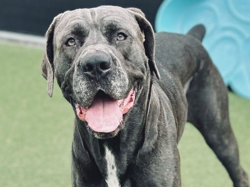 Zeus primary photo