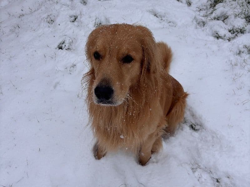 Tucker primary photo