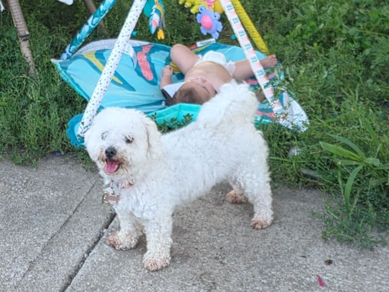 Daisy primary photo