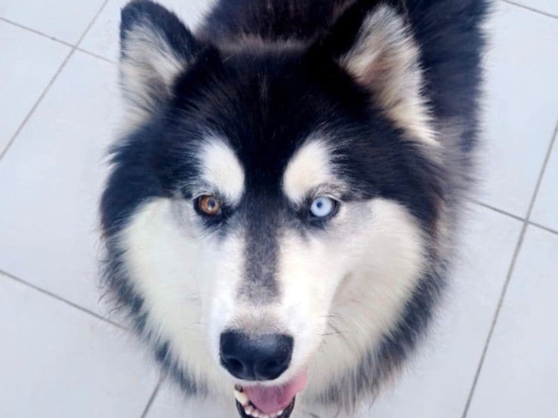 Elsa primary photo