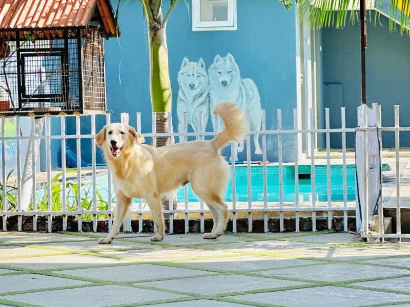 Maxx primary photo