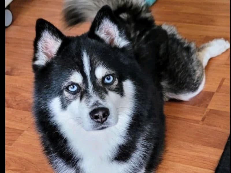 Zeus primary photo