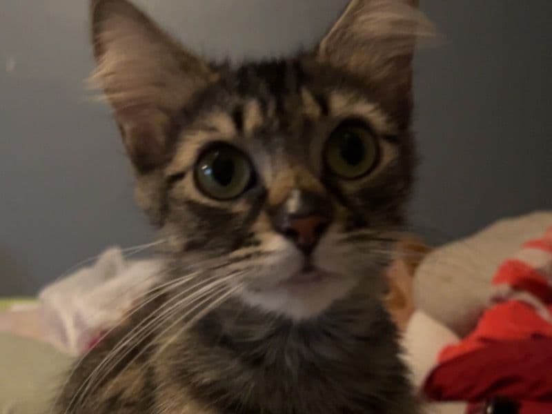 Lucy primary photo