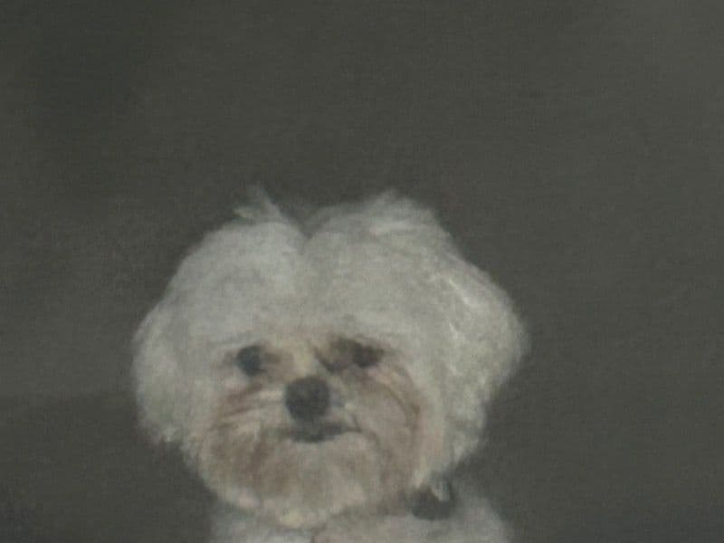 Hera primary photo