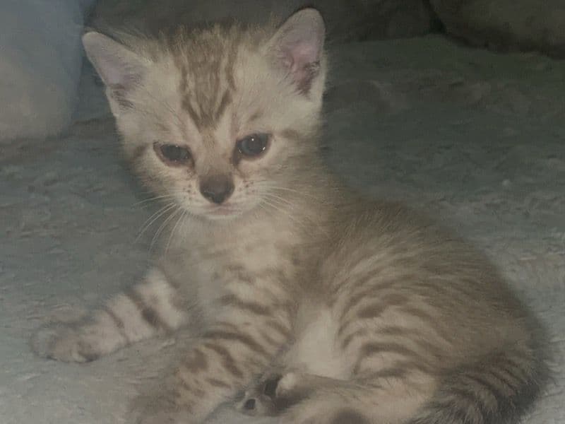 Baby primary photo