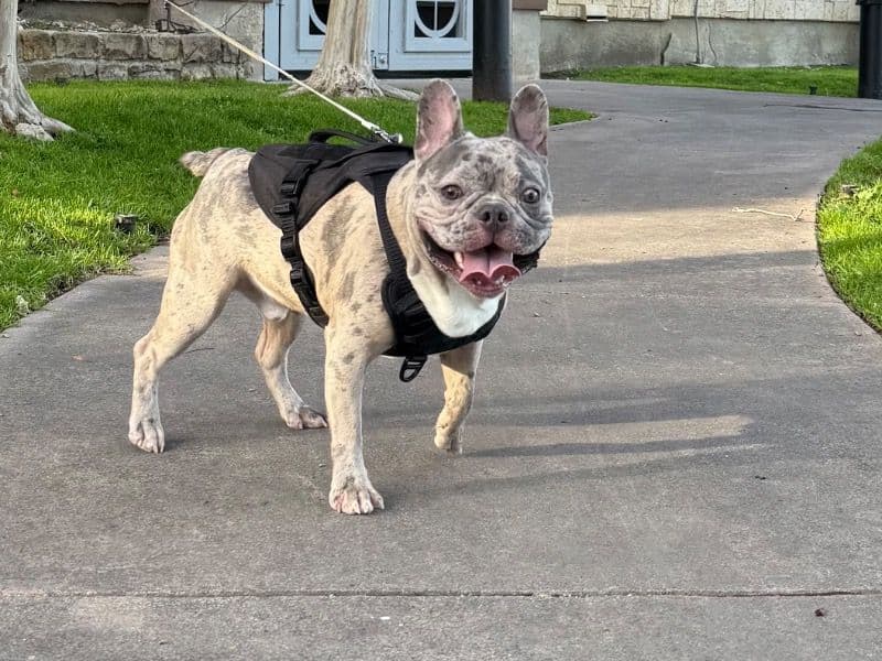 Zeus primary photo
