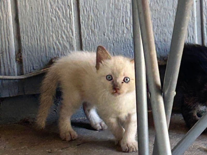 Unknown primary photo