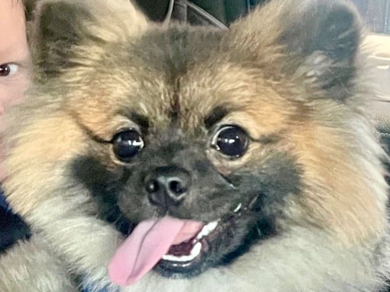 Tuffy primary photo