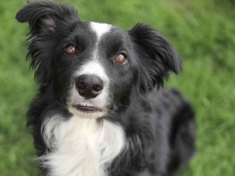 Max primary photo