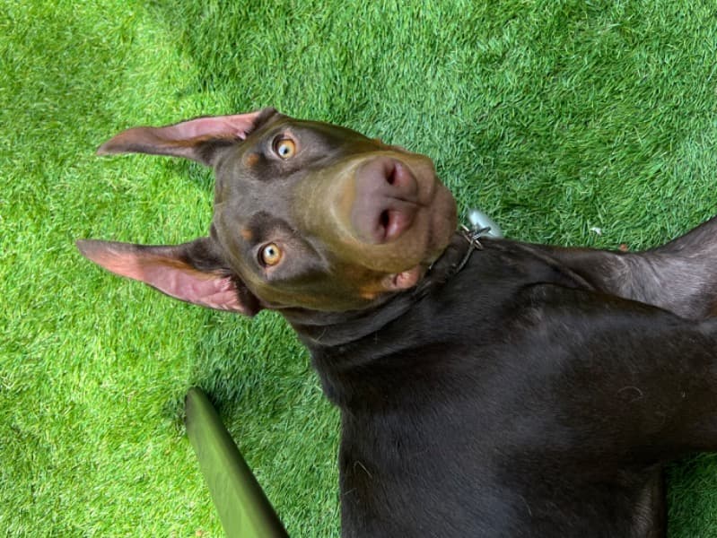 Zeus Jynx Mars primary photo