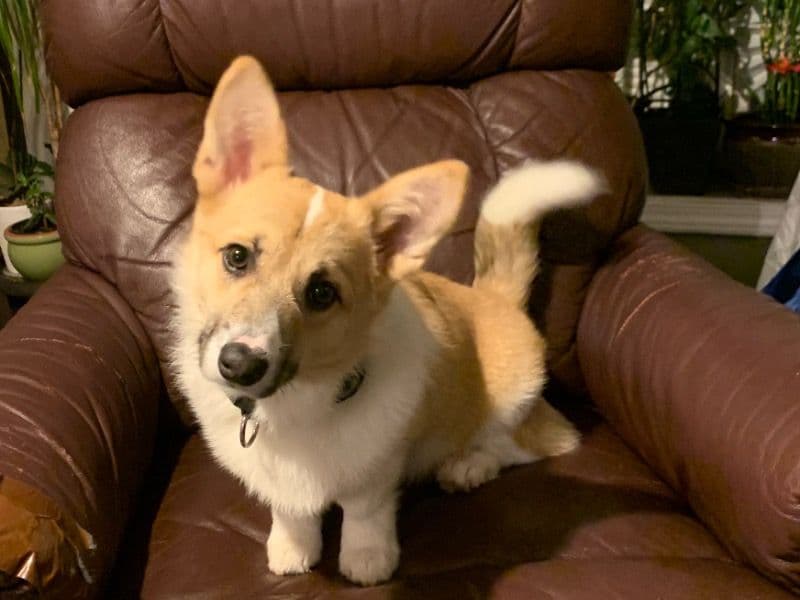 Max primary photo