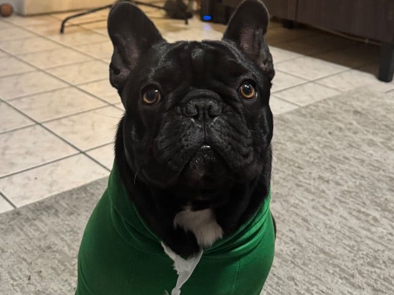 Uhtred primary photo