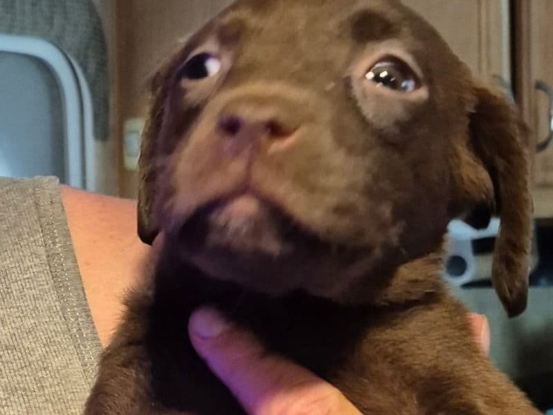 Baby primary photo
