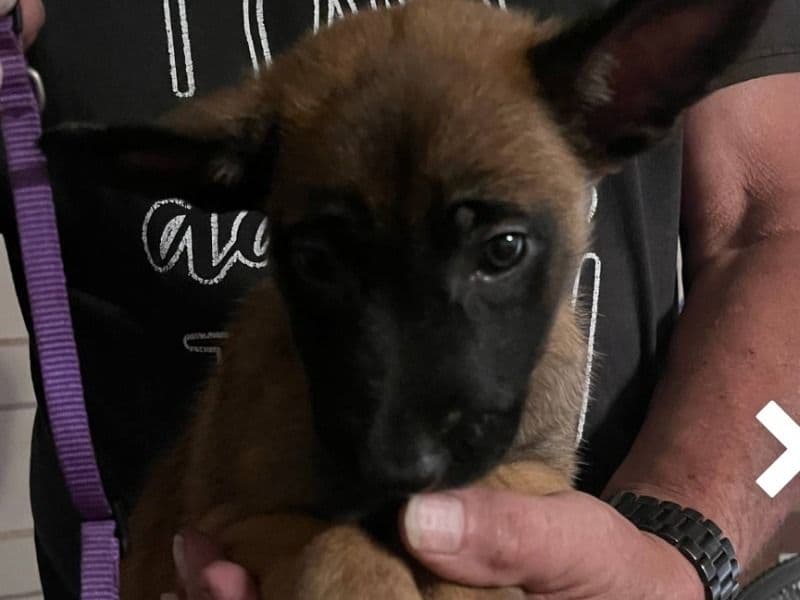 Female #1 primary photo