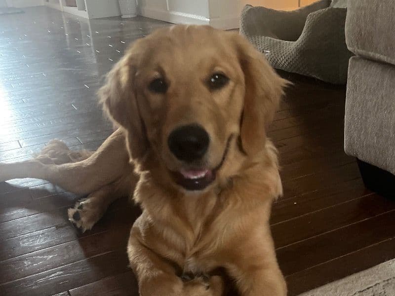 Max primary photo