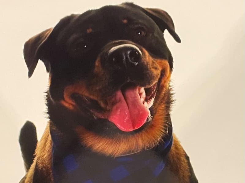 Zeus primary photo