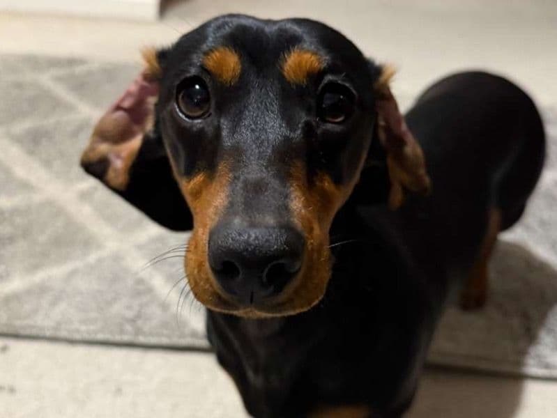 Winnie primary photo