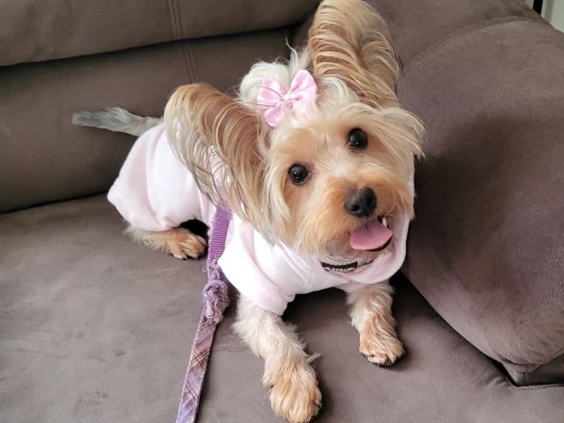 Cassie primary photo