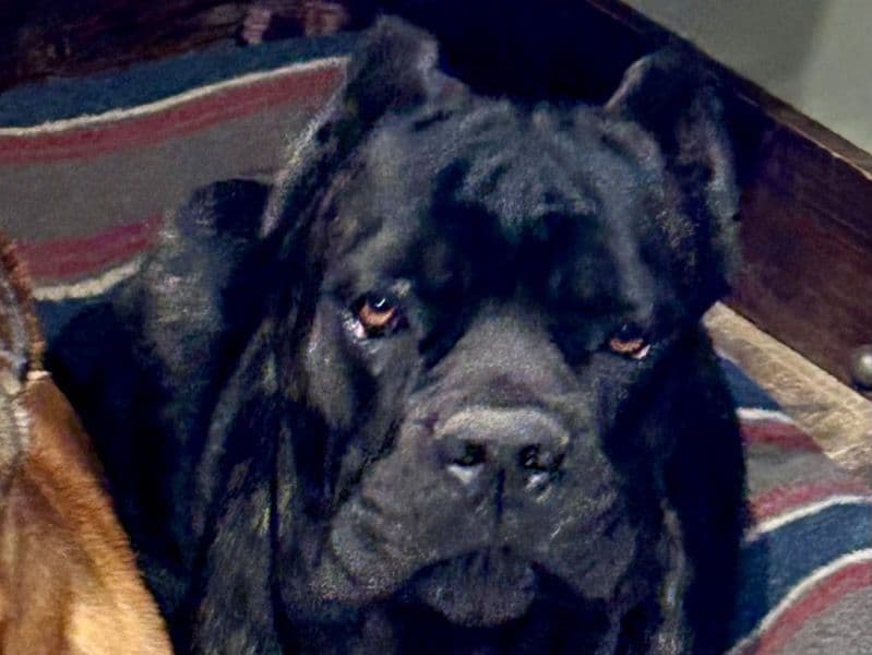 Betty primary photo