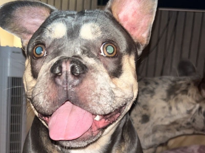 Rolo primary photo