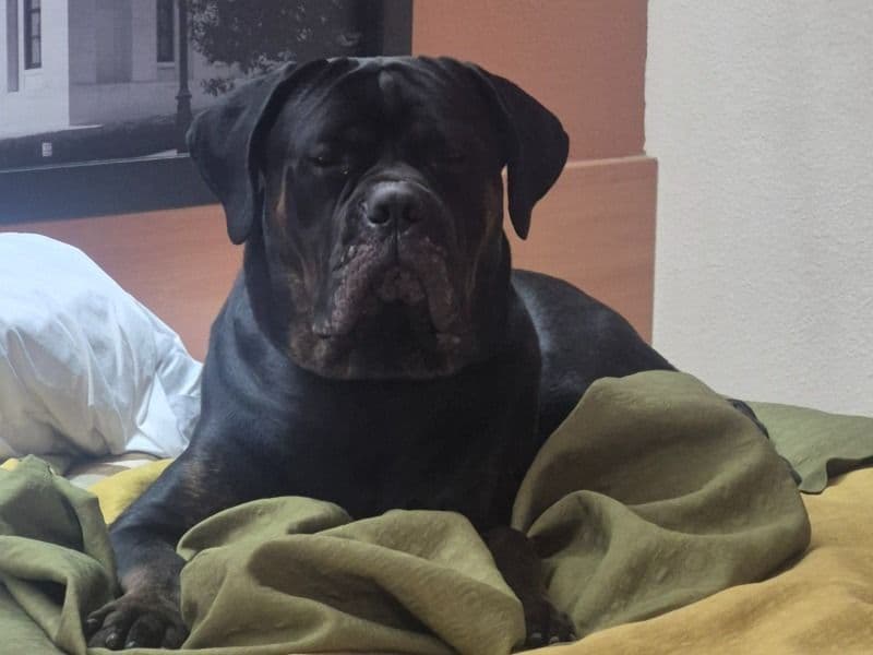 Zeus primary photo