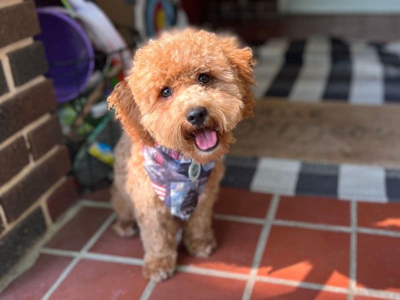 Tucker primary photo