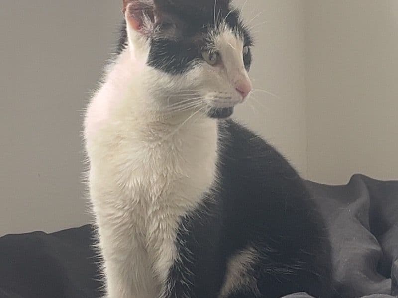 Dottie primary photo