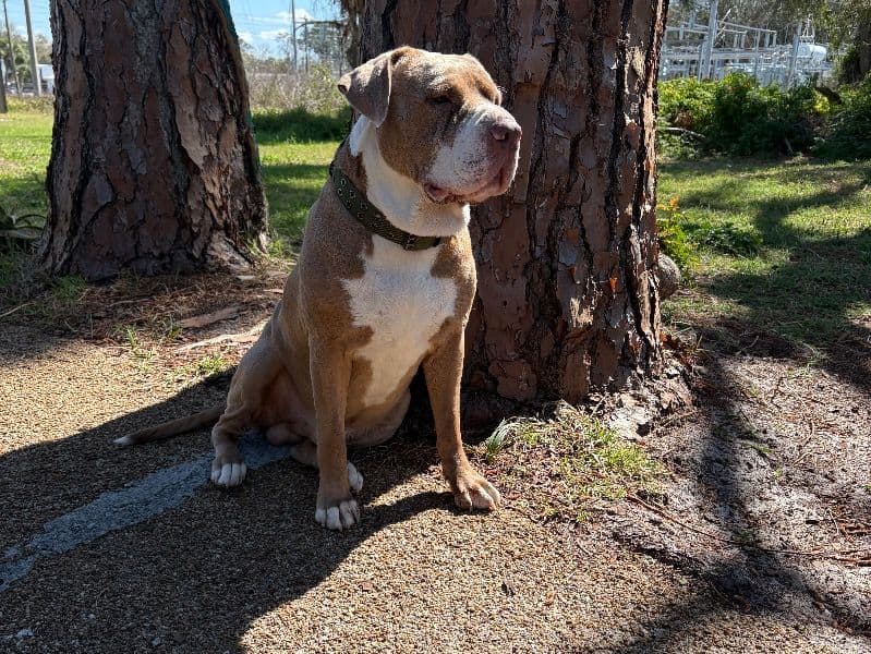 Zeus primary photo