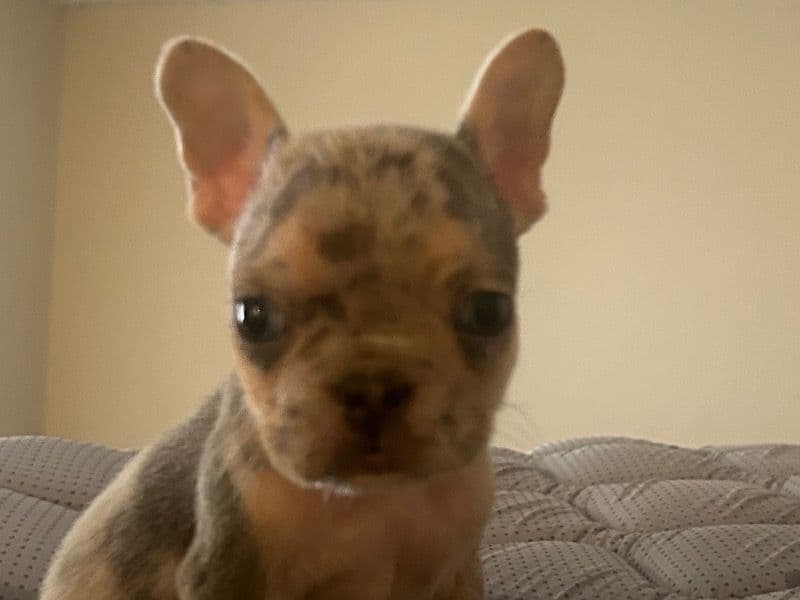 Handsome primary photo