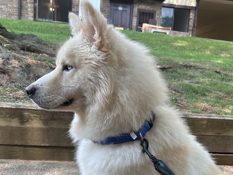 Zeus primary photo