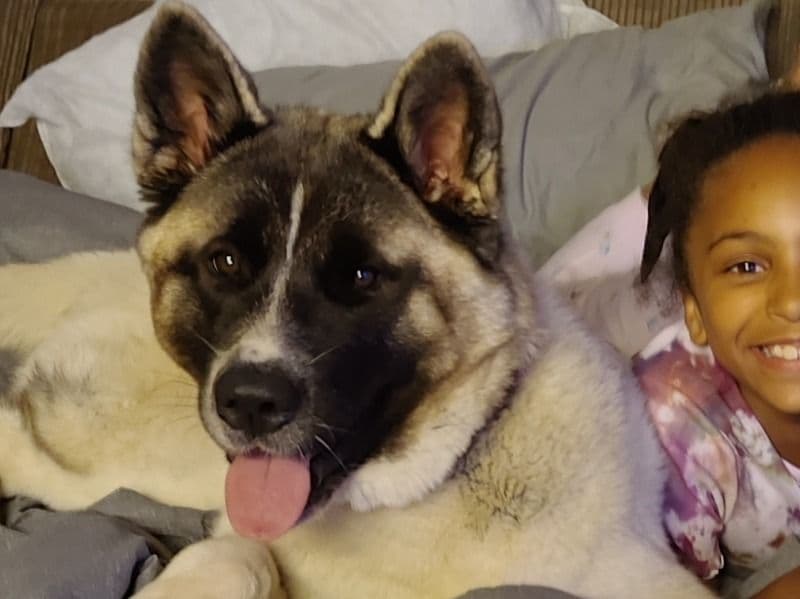 Nala primary photo