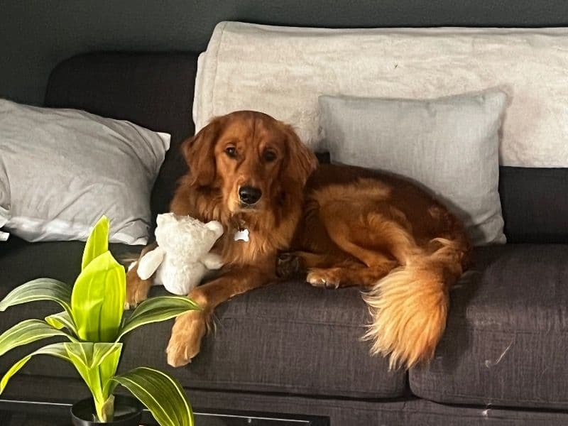 Max primary photo