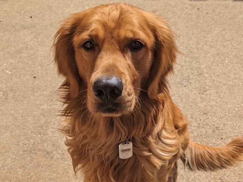 Max primary photo