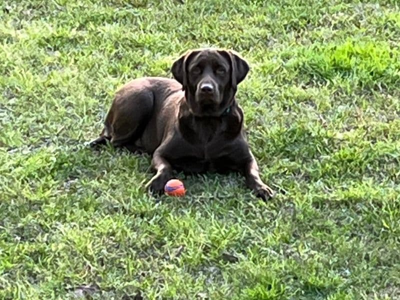Maggie primary photo