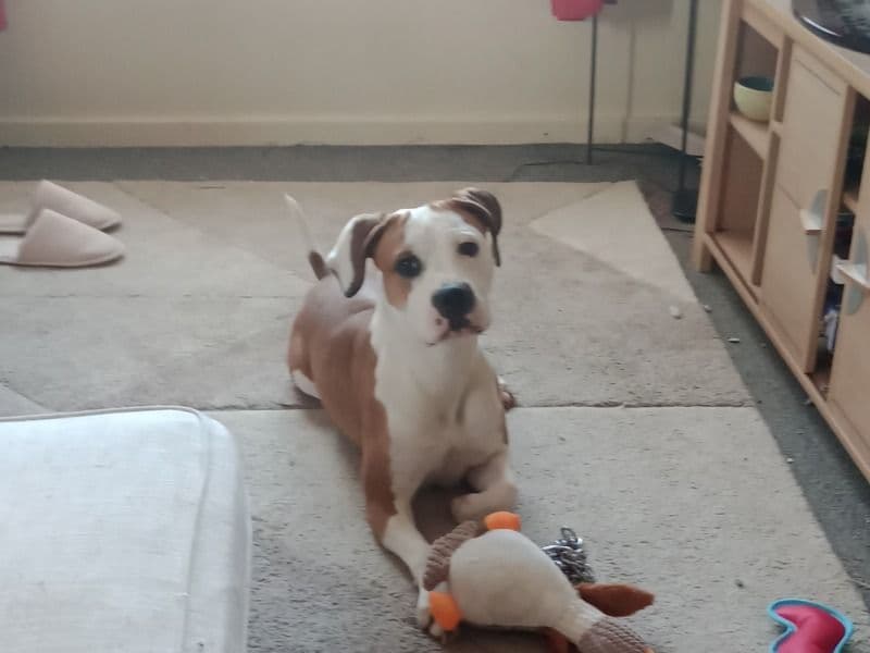 Rosie primary photo
