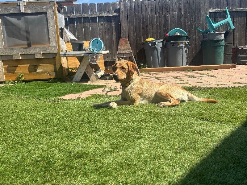 Maggie primary photo