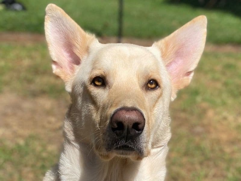 Yuki primary photo