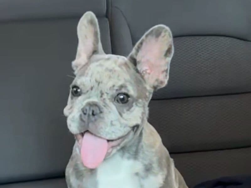 Kilo primary photo