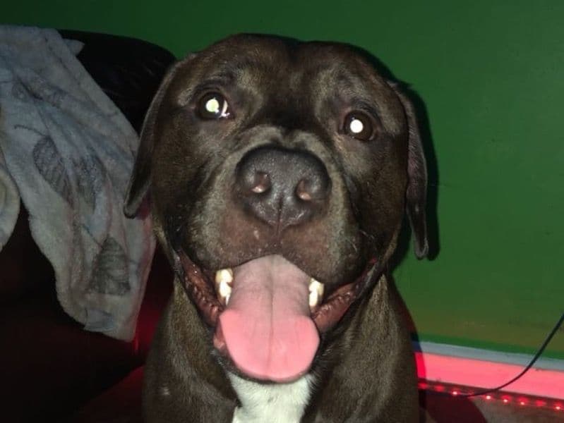 Zuko primary photo