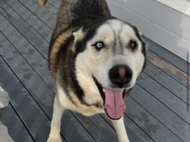Castile Aka “cas” primary photo