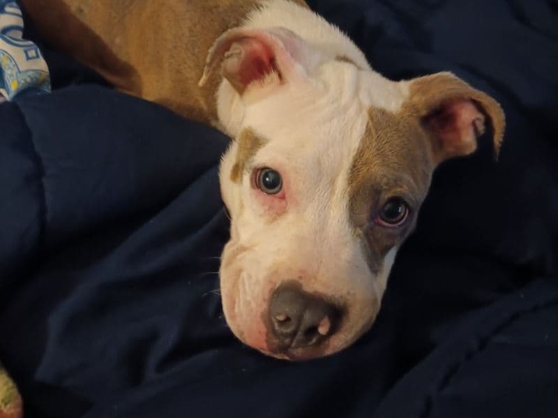 Baby primary photo