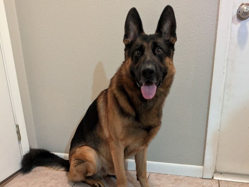 Gunner primary photo