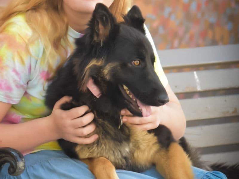 Luna primary photo