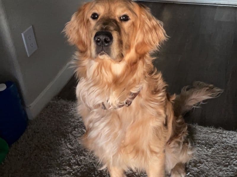 Max primary photo