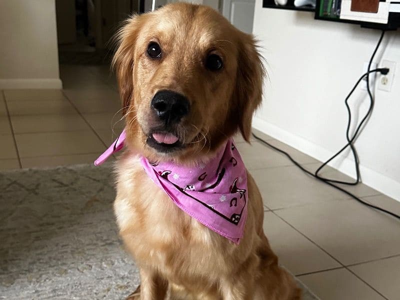 Winnie primary photo